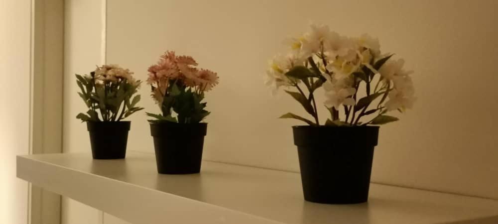 Cozy Studio Unit,Cyberjaya,Wifi, Netflix,Free Parking Buitenkant foto